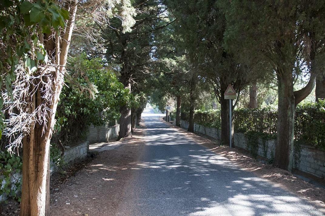 Il Maestro E L'Innamorata Sutri Exterior foto